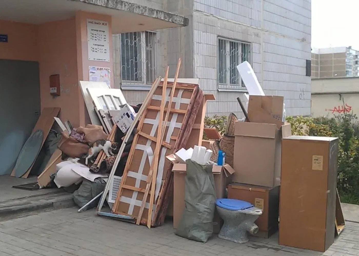 Профессиональный вывоз мусора из квартиры в Соли-Илецке в октябре