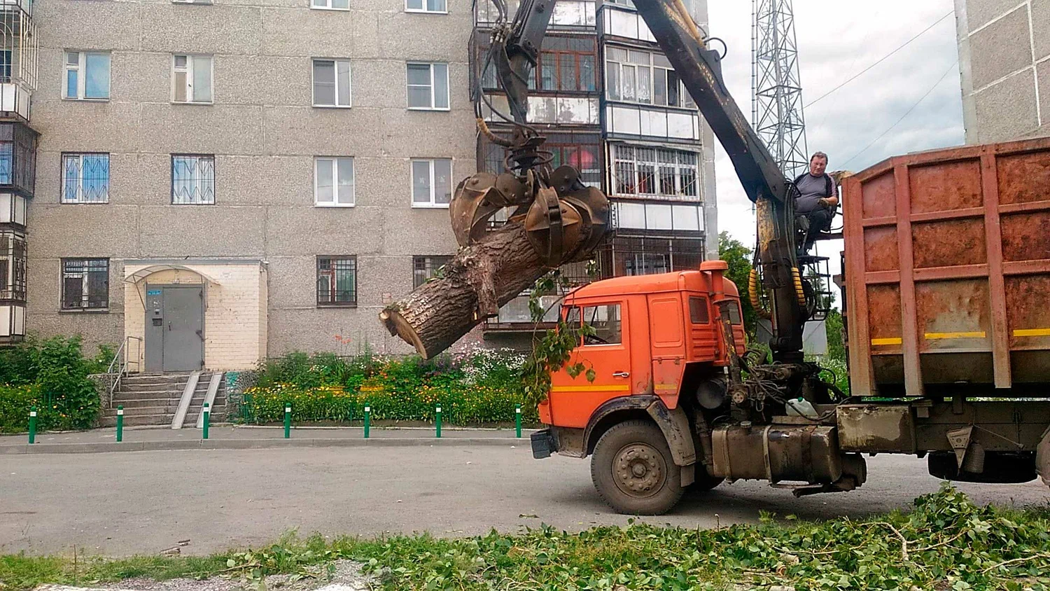 Вывоз спиленных веток и деревьев в Соли-Илецке от ПроМусор: порубочные остатки, утилизация, цена от 3021 руб