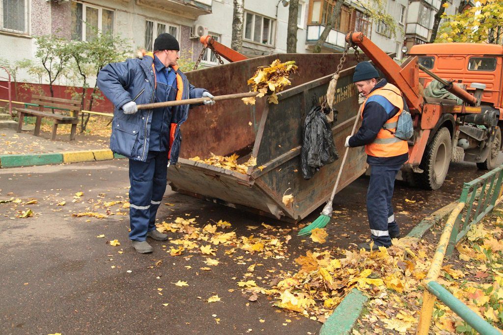 Вывоз опавшей листвы и растительного мусора в Соли-Илецке от ПроМусор – цена от 4688 руб., быстрая уборка и утилизация